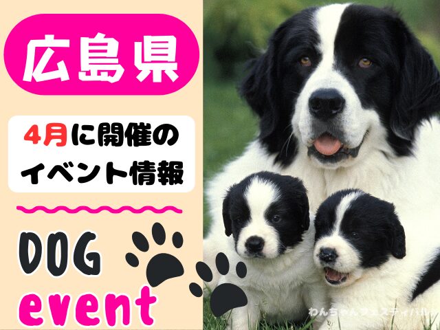 犬イベント　中国地方　岡山県　広島県　山口県　鳥取県　島根県　2025年　4月