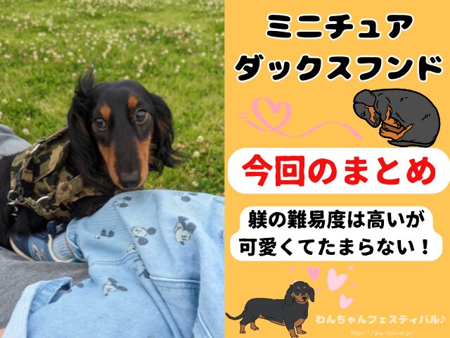 ミニチュアダックスフンド　性格悪いし　可愛くない　子犬　成犬