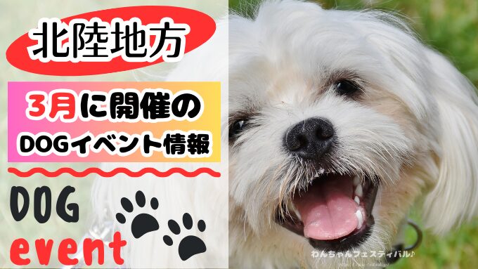 北陸地方　犬イベント　一覧　開催場所　日程　2025　3月