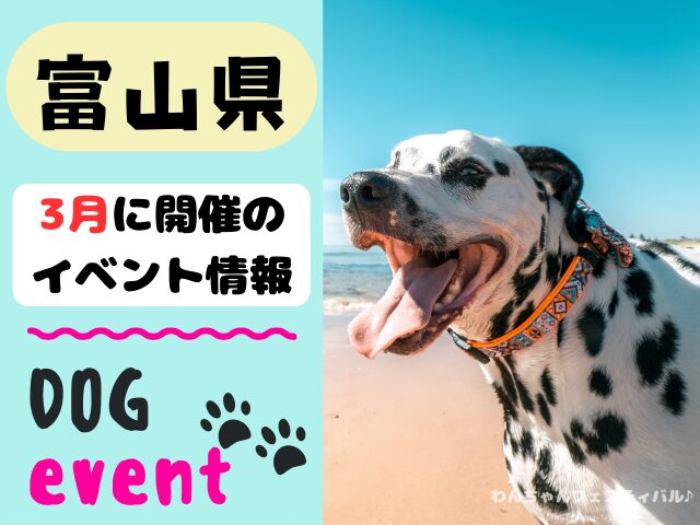 北陸地方　犬イベント　一覧　開催場所　日程　2025　3月