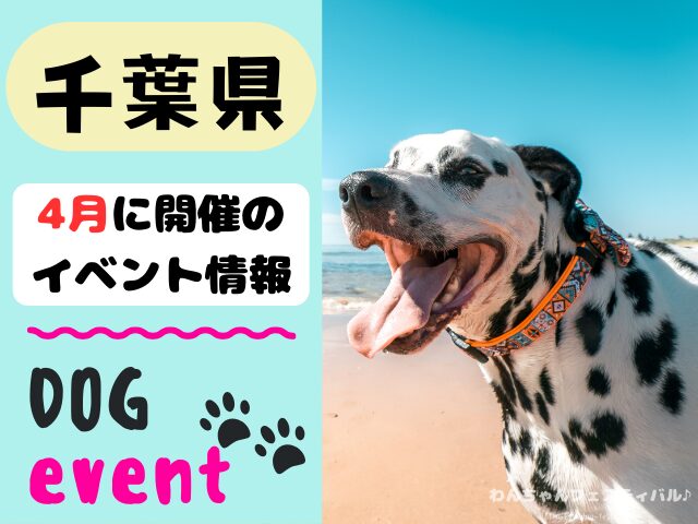 犬イベント　関東　東京　千葉　埼玉　神奈川　群馬　栃木　茨城　2025年　4月