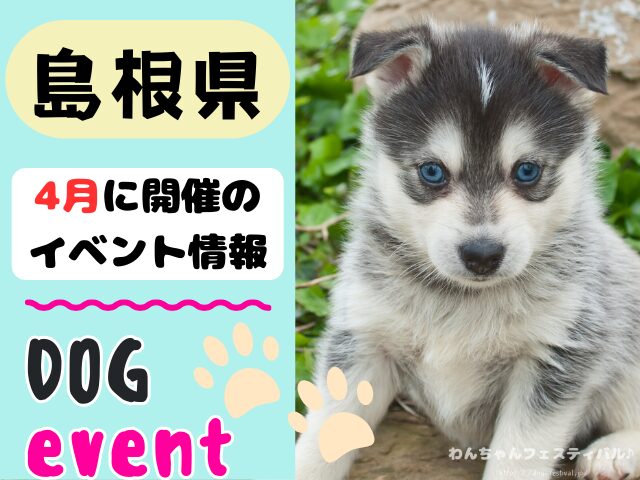 犬イベント　中国地方　岡山県　広島県　山口県　鳥取県　島根県　2025年　4月