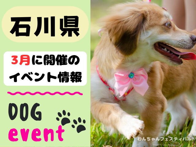 北陸地方　犬イベント　一覧　開催場所　日程　2025　3月