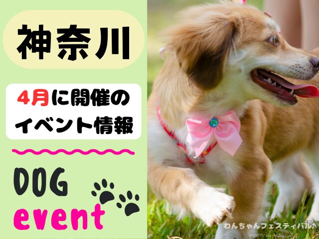 犬イベント　関東　東京　千葉　埼玉　神奈川　群馬　栃木　茨城　2025年　4月