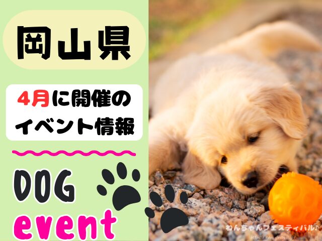 犬イベント　中国地方　岡山県　広島県　山口県　鳥取県　島根県　2025年　4月