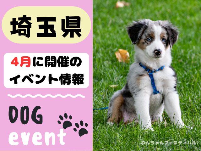 犬イベント　関東　東京　千葉　埼玉　神奈川　群馬　栃木　茨城　2025年　4月