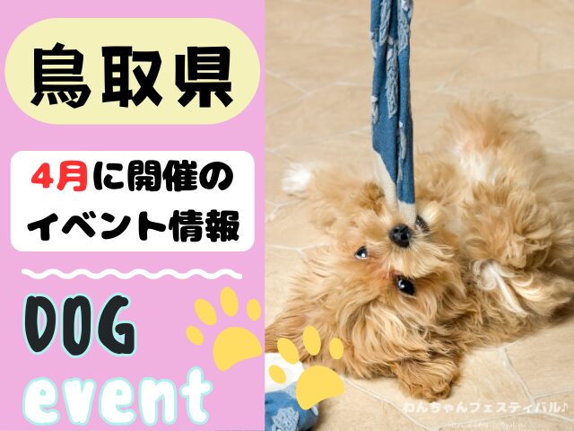 犬イベント　中国地方　岡山県　広島県　山口県　鳥取県　島根県　2025年　4月