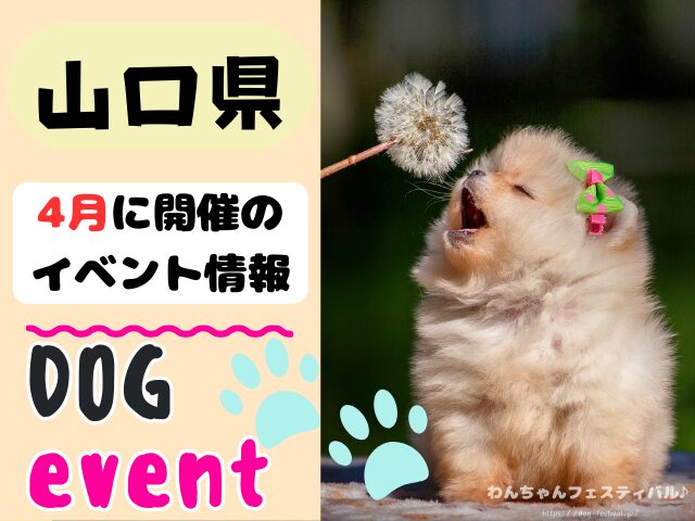 犬イベント　中国地方　岡山県　広島県　山口県　鳥取県　島根県　2025年　4月