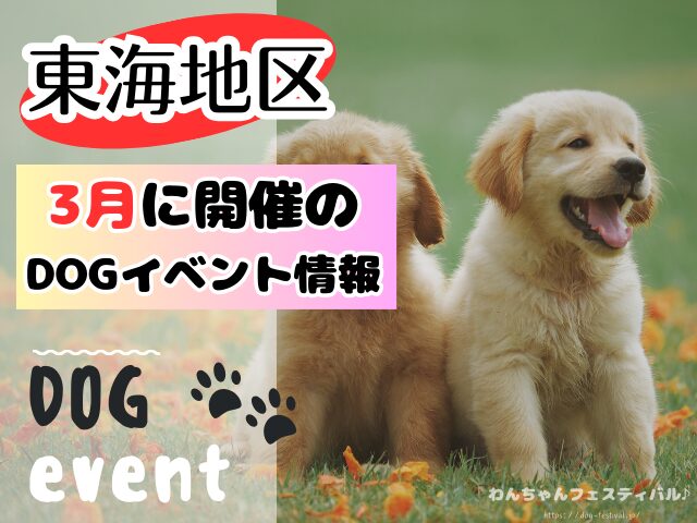 犬イベント　東海地区　静岡県　愛知県　三重県　岐阜県　山梨県　2025年　3月