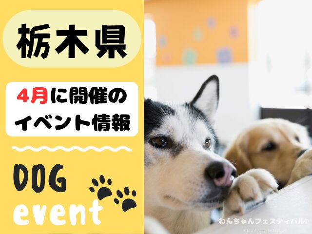 犬イベント　関東　東京　千葉　埼玉　神奈川　群馬　栃木　茨城　2025年　4月