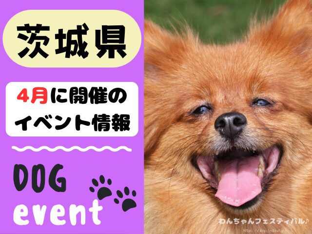 犬イベント　関東　東京　千葉　埼玉　神奈川　群馬　栃木　茨城　2025年　4月