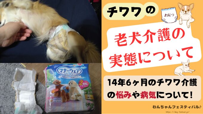 チワワ　老犬　介護　ブログ　食事量　回数　食べない　体験談　感想　経験談