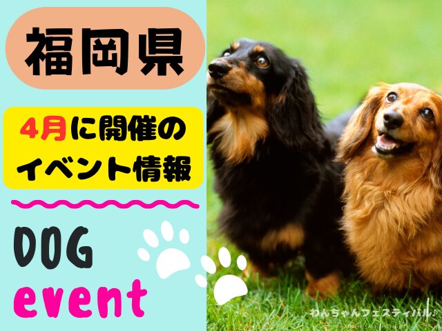 犬イベント　九州　福岡県　佐賀県　長崎県　熊本県　大分県　宮崎県　鹿児島県　2025年　4月