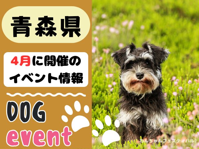 犬イベント　東北地方　青森県　岩手県　秋田県　宮城県　山形県　福島県　2025年　4月