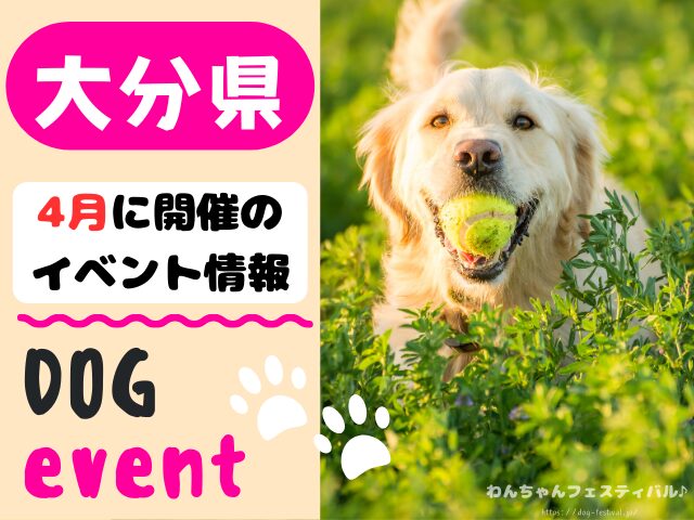 犬イベント　九州　福岡県　佐賀県　長崎県　熊本県　大分県　宮崎県　鹿児島県　2025年　4月