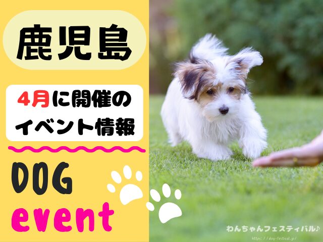 犬イベント　九州　福岡県　佐賀県　長崎県　熊本県　大分県　宮崎県　鹿児島県　2025年　4月