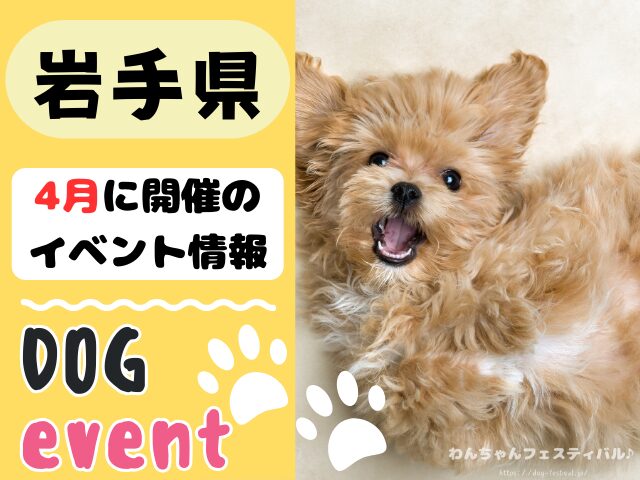 犬イベント　東北地方　青森県　岩手県　秋田県　宮城県　山形県　福島県　2025年　4月