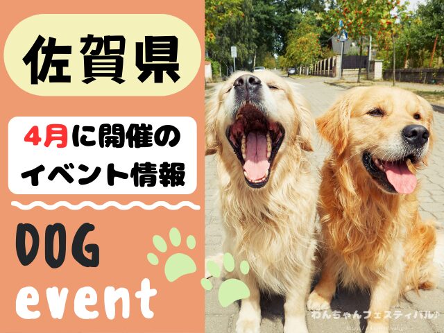 犬イベント　九州　福岡県　佐賀県　長崎県　熊本県　大分県　宮崎県　鹿児島県　2025年　4月