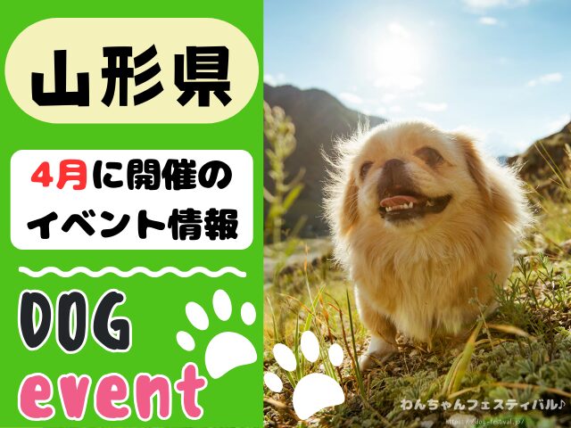 犬イベント　東北地方　青森県　岩手県　秋田県　宮城県　山形県　福島県　2025年　4月