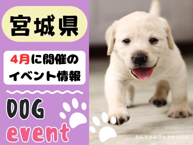 犬イベント　東北地方　青森県　岩手県　秋田県　宮城県　山形県　福島県　2025年　4月