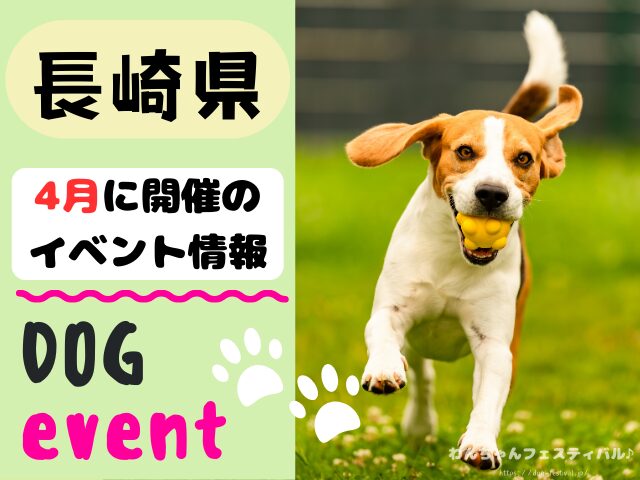 犬イベント　九州　福岡県　佐賀県　長崎県　熊本県　大分県　宮崎県　鹿児島県　2025年　4月