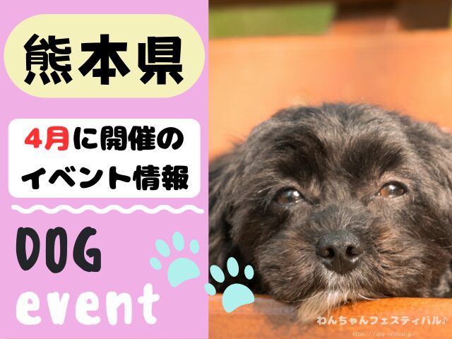 犬イベント　九州　福岡県　佐賀県　長崎県　熊本県　大分県　宮崎県　鹿児島県　2025年　4月