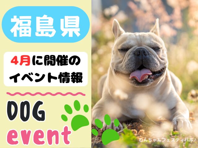 犬イベント　東北地方　青森県　岩手県　秋田県　宮城県　山形県　福島県　2025年　4月