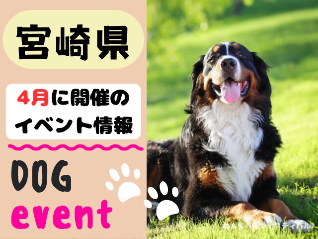 犬イベント　九州　福岡県　佐賀県　長崎県　熊本県　大分県　宮崎県　鹿児島県　2025年　4月