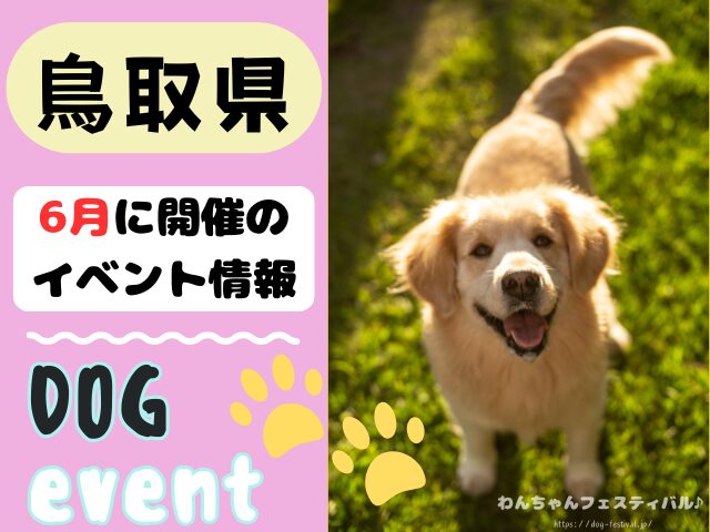 中国地方 犬イベント 2025年 6月 岡山 広島 山口 鳥取 島根