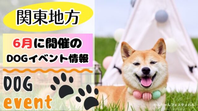【関東6月】犬イベント一覧2025年度版!開催場所と日程を知ってワンコと触れ合おう!|わんちゃんフェスティバル♪