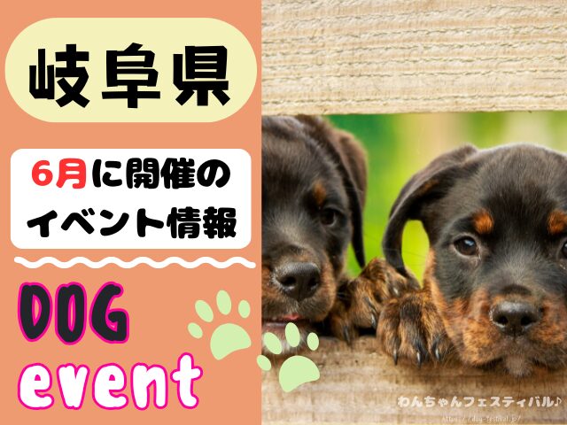 犬イベント 東海地区 静岡県 愛知県 三重県 岐阜県 山梨県 2025年 6月