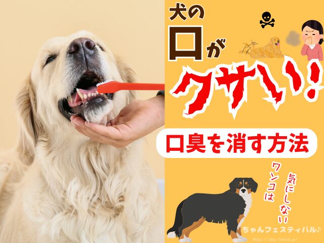 犬の口臭を消す方法　生臭い原因　対策　改善