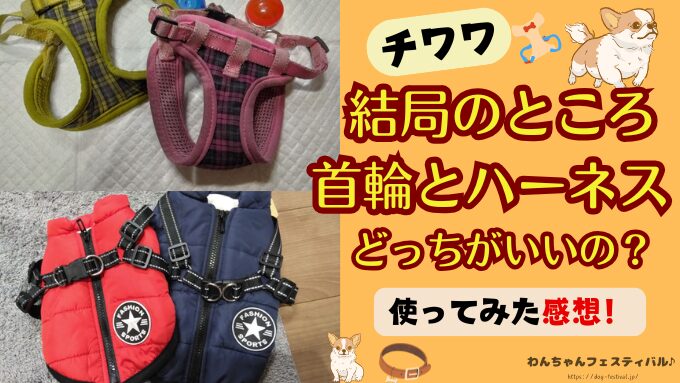チワワ　首輪　ハーネス　どっち　おすすめ　経験談　感想