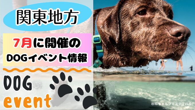 犬イベント　関東　東京　千葉　埼玉　神奈川　群馬　栃木　茨城　2025年　7月