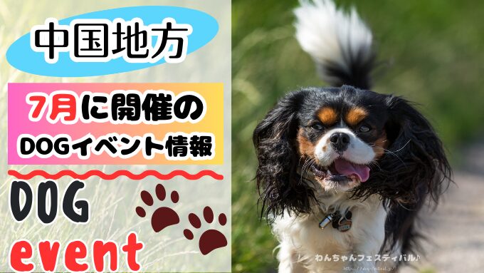 中国地方　犬イベント　一覧　開催場所　日程　2025　7月