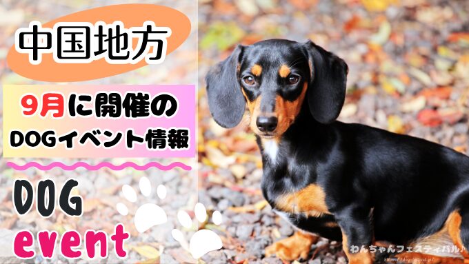 中国地方　犬イベント　一覧　開催場所　日程　2025　9月