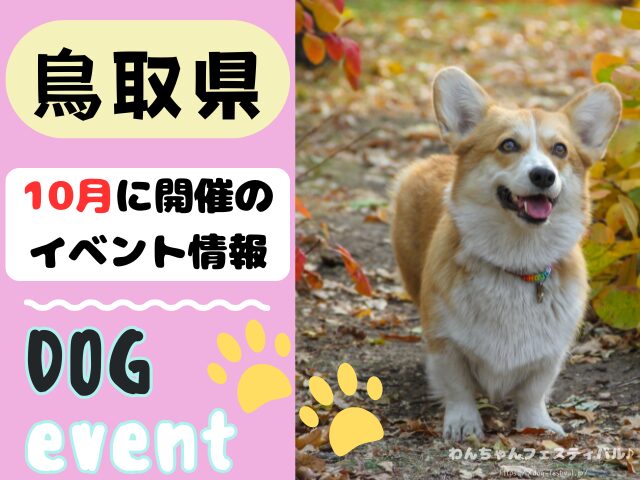 犬イベント　中国地方　岡山県　広島県　山口県　鳥取県　島根県　2025年　10月