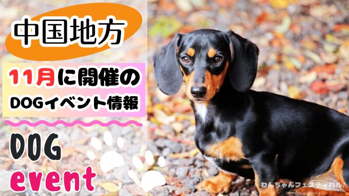 中国地方　犬イベント　一覧　開催場所　日程　2025　11月