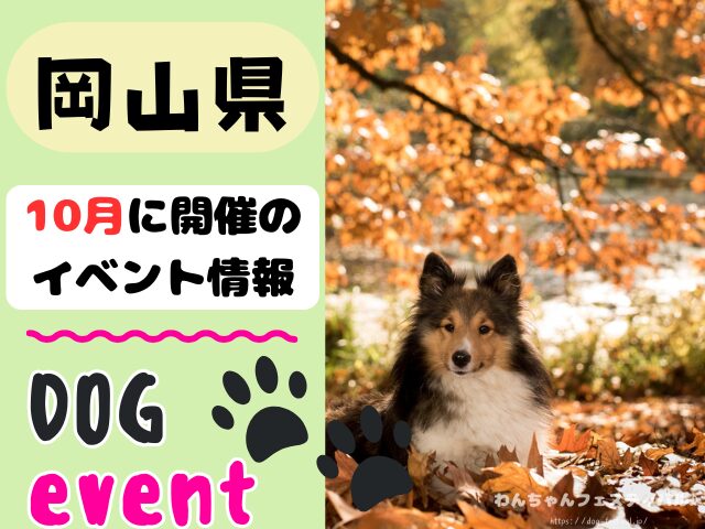 犬イベント　中国地方　岡山県　広島県　山口県　鳥取県　島根県　2025年　10月