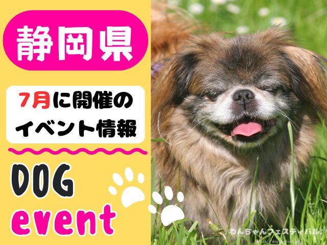 犬イベント 東海地区 静岡県 愛知県 三重県 岐阜県 山梨県 2025年 7月
