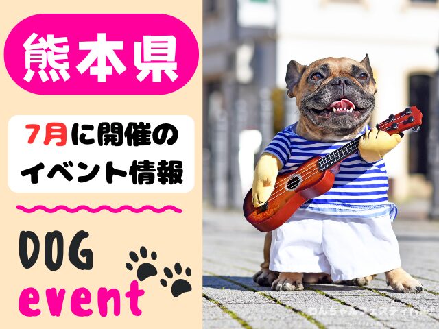 犬イベント 九州 福岡県 佐賀県 長崎県 熊本県 大分県 宮崎県 鹿児島県 2025年 7月