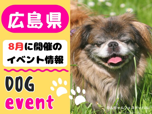 犬イベント　中国地方　岡山県　広島県　山口県　鳥取県　島根県　2025年　8月