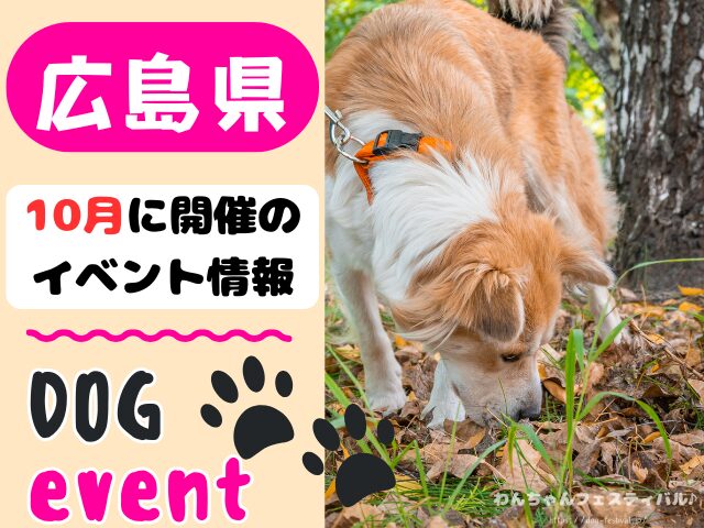 犬イベント　中国地方　岡山県　広島県　山口県　鳥取県　島根県　2025年　10月
