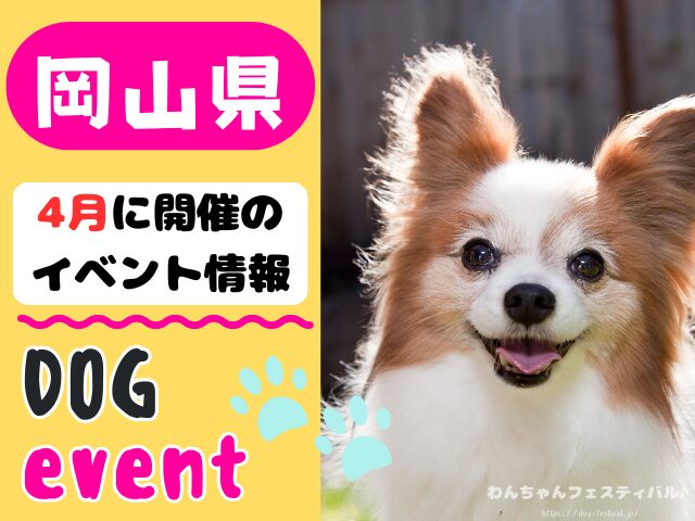 犬イベント 中国地方 岡山県 広島県 山口県 鳥取県 島根県 2026年 4月