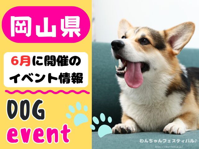 犬イベント　中国地方　岡山県　広島県　山口県　鳥取県　島根県　2026年　6月
