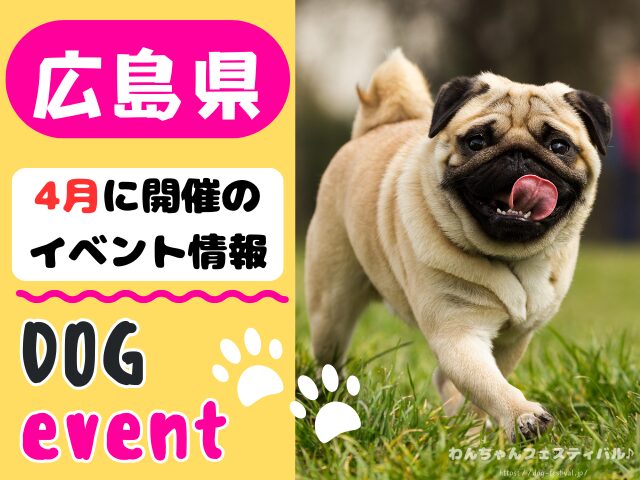 犬イベント 中国地方 岡山県 広島県 山口県 鳥取県 島根県 2026年 4月