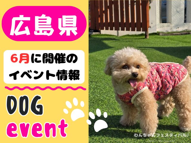 犬イベント　中国地方　岡山県　広島県　山口県　鳥取県　島根県　2026年　6月