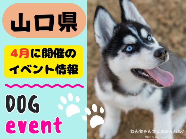 犬イベント 中国地方 岡山県 広島県 山口県 鳥取県 島根県 2026年 4月