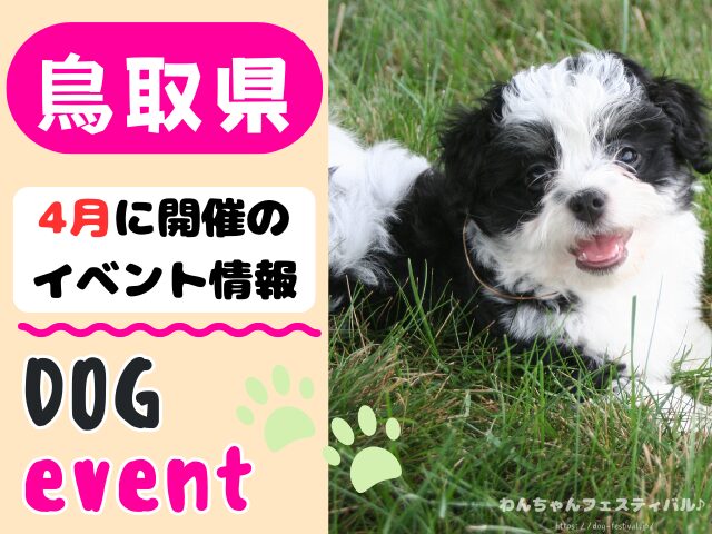 犬イベント 中国地方 岡山県 広島県 山口県 鳥取県 島根県 2026年 4月