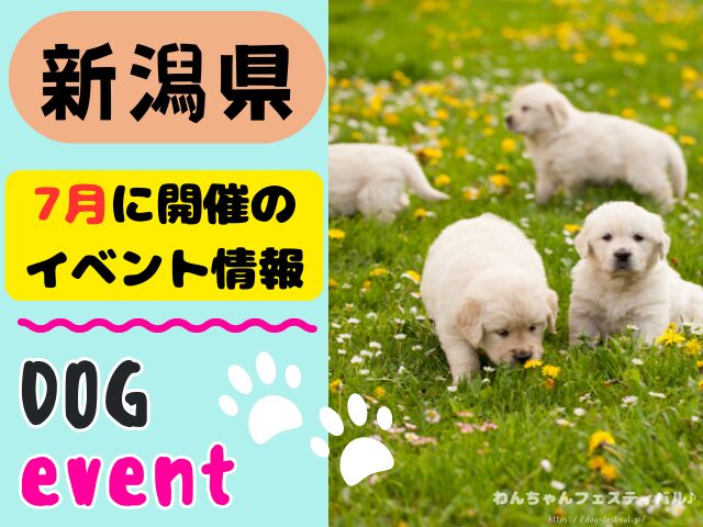 犬イベント 北陸地方 新潟県 富山県 石川県 福井県 2025年 7月